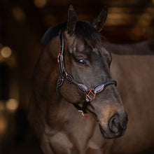 Load image into Gallery viewer, Henri de Rivel Ergonomic Leather Rope Halter
