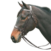 Load image into Gallery viewer, HENRI DE RIVEL POLO BRIDLE WITH DOUBLE REINS

