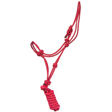 Load image into Gallery viewer, Rope Halter and Lead with Rope Nose
