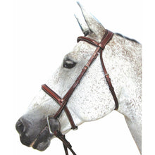 Load image into Gallery viewer, Henri de Rivel Pro Mono Crown Padded Bridle

