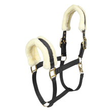 Load image into Gallery viewer, Henri de Rivel Sherpa Fleece Halter with Leather Breakaway
