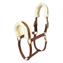 Load image into Gallery viewer, Henri de Rivel Sherpa Fleece Halter with Leather Breakaway
