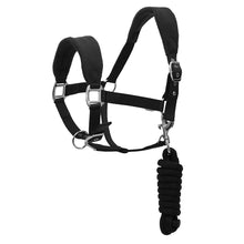 Load image into Gallery viewer, Henri de Rivel Ergonomic Comfort Halter and Lead Rope Set
