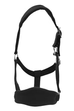 Load image into Gallery viewer, Henri de Rivel Ergonomic Comfort Halter and Lead Rope Set
