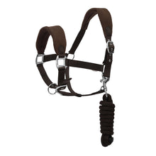 Load image into Gallery viewer, Henri de Rivel Ergonomic Comfort Halter and Lead Rope Set
