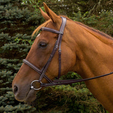 Load image into Gallery viewer, Henri de Rivel Pro Mono Crown Fancy Stitched Padded Bridle
