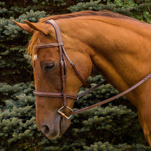 Load image into Gallery viewer, Henri de Rivel Pro Mono Crown Fancy Stitched Padded Bridle
