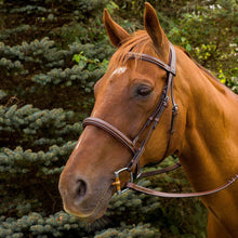 Load image into Gallery viewer, Henri de Rivel Pro Mono Crown Fancy Stitched Padded Bridle
