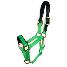 Load image into Gallery viewer, Premium Padded Nylon Breakaway Halter
