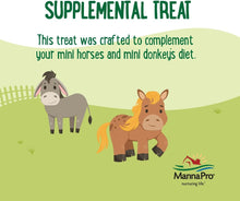 Load image into Gallery viewer, 25 Farmhouse Mini Horse &amp; Donkey Treats
