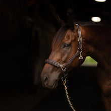 Load image into Gallery viewer, Henri de Rivel Stress Free Halter With Fancy Contrast Stitching
