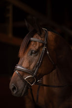 Load image into Gallery viewer, Henri de rivel Jamaika Pro Anatomical Fancy Raised Wide Flash Noseband Bridle with Raised laced reins
