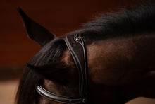 Load image into Gallery viewer, Henri de rivel Jamaika Pro Anatomical Fancy Raised Wide Flash Noseband Bridle with Raised laced reins
