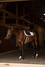 Load image into Gallery viewer, Henri de rivel Jamaika Pro Anatomical Fancy Raised Wide Flash Noseband Bridle with Raised laced reins

