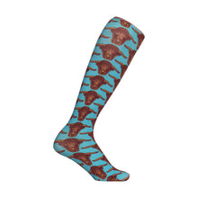 Load image into Gallery viewer, AWST Int'l Vintage Bull Head Boot Socks
