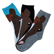 Load image into Gallery viewer, AWST Int'l Ladies'  Horse Face Crew Socks- 3 Pack

