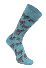Load image into Gallery viewer, AWST Int'l Donkey Love Socks 6 pack
