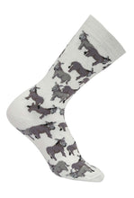 Load image into Gallery viewer, AWST Int'l Donkey Love Socks 6 pack
