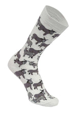 Load image into Gallery viewer, AWST Int'l Donkey Love Socks 6 pack
