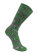 Load image into Gallery viewer, AWST Int'l Donkey Love Socks 6 pack
