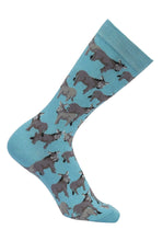 Load image into Gallery viewer, AWST Int'l Donkey Love Socks 6 pack
