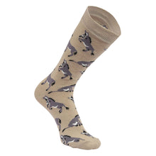 Load image into Gallery viewer, AWST Int'l Playful Donkeys Socks 6 pack
