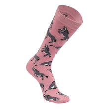 Load image into Gallery viewer, AWST Int'l Playful Donkeys Socks 6 pack
