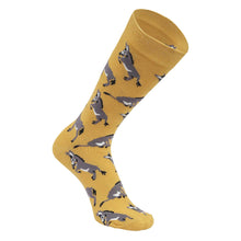 Load image into Gallery viewer, AWST Int'l Playful Donkeys Socks 6 pack
