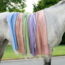 Load image into Gallery viewer, AWST Int'l Lila Linear Horses Pashmina Scarf

