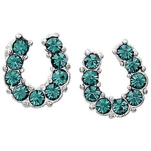 Load image into Gallery viewer, AWST Int'l Rhinestone Horseshoe Earrings  w/Horse Head Gift Box
