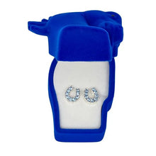 Load image into Gallery viewer, AWST Int'l Rhinestone Horseshoe Earrings  w/Horse Head Gift Box
