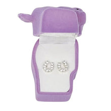 Load image into Gallery viewer, AWST Int'l Rhinestone Horseshoe Earrings  w/Horse Head Gift Box

