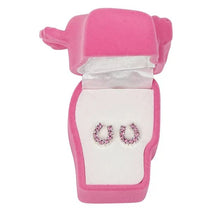 Load image into Gallery viewer, AWST Int'l Rhinestone Horseshoe Earrings  w/Horse Head Gift Box
