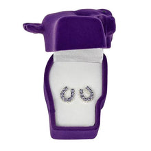 Load image into Gallery viewer, AWST Int'l Rhinestone Horseshoe Earrings  w/Horse Head Gift Box

