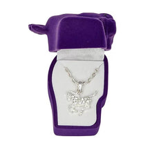 Load image into Gallery viewer, AWST Int'l Aqua Precious Pony Necklace w/Aqua Horse Head Gift Box
