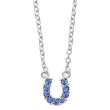 Load image into Gallery viewer, AWST Int'l Aqua Rhinestone Horseshoe Necklace w/Horse Head Gift Box

