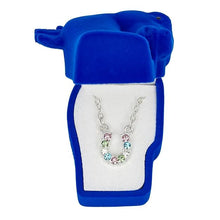 Load image into Gallery viewer, AWST Int'l Aqua Rhinestone Horseshoe Necklace w/Horse Head Gift Box
