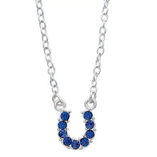 Load image into Gallery viewer, AWST Int'l Aqua Rhinestone Horseshoe Necklace w/Horse Head Gift Box

