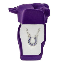 Load image into Gallery viewer, AWST Int'l Aqua Rhinestone Horseshoe Necklace w/Horse Head Gift Box
