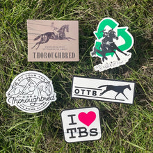 Load image into Gallery viewer, Dapplebay OTTB Sticker Pack
