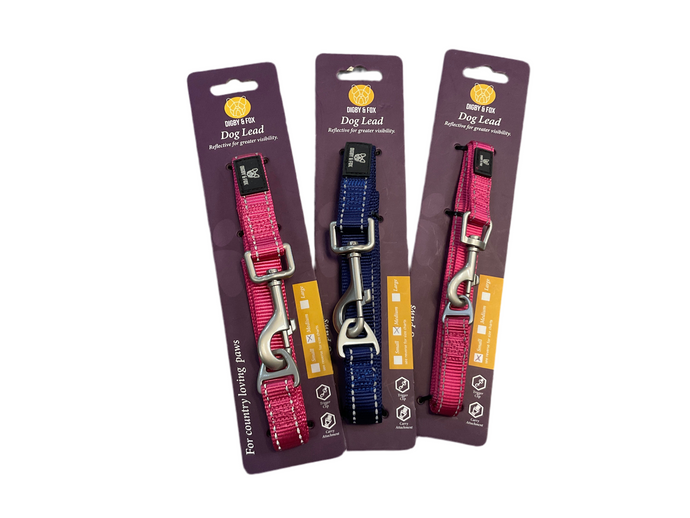 Digby and Fox Dog Leash