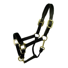 Load image into Gallery viewer, Premium Padded Nylon Breakaway Halter
