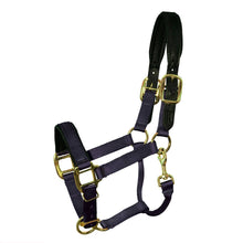 Load image into Gallery viewer, Premium Padded Nylon Breakaway Halter
