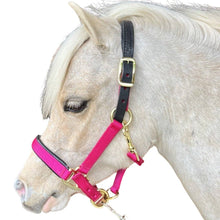 Load image into Gallery viewer, Premium Padded Nylon Breakaway Halter
