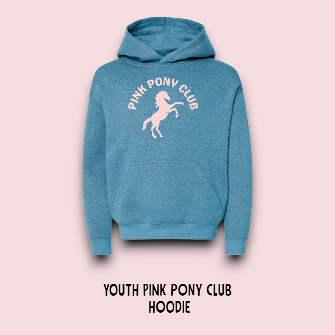 YOUTH PINK PONY CLUB HOODIE