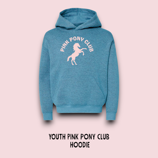 YOUTH PINK PONY CLUB HOODIE