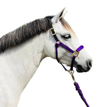 Load image into Gallery viewer, Premium Padded Nylon Breakaway Halter
