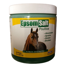 Load image into Gallery viewer, 🎁Epsom Salt Poultice
