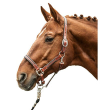 Load image into Gallery viewer, HKM Leather Halter -Soft-Brown
