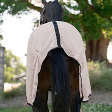 Load image into Gallery viewer, Miller's Standard Neck Fly Sheet
